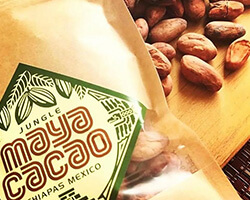 炭火焙煎マヤカカオ豆